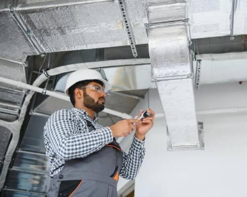 why-mass-green-planet-img01