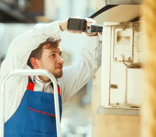 why-mass-green-planet-img02